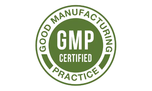 all day slimming tea gmp certified
